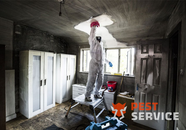 Профессиональная уборка помещений после пожара в Котласе от 2500 руб: удаление сажи, копоти и запаха гари, глубокая очистка поверхностей и восстановление чистоты. Быстро, безопасно и эффективно.